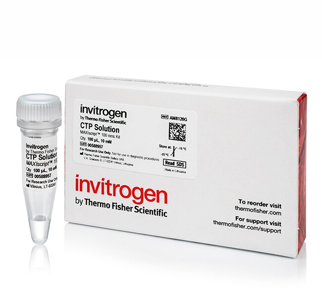 Ambion® CTP solution (10 mM), 100 µl Thi